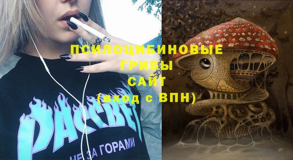 дживик Балахна