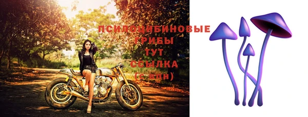 ECSTASY Балабаново