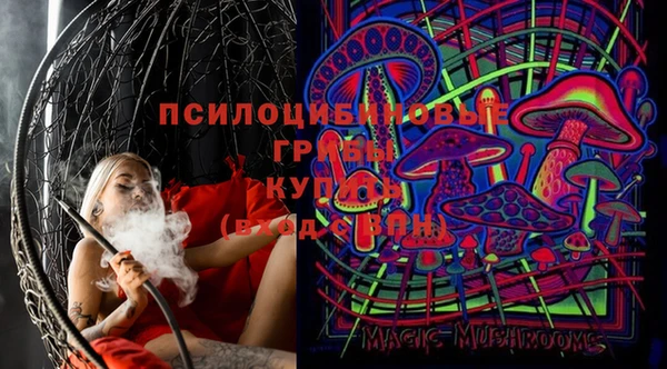дживик Балахна