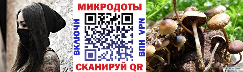 Псилоцибиновые грибы Psilocybine cubensis  где купить наркоту  Ногинск 