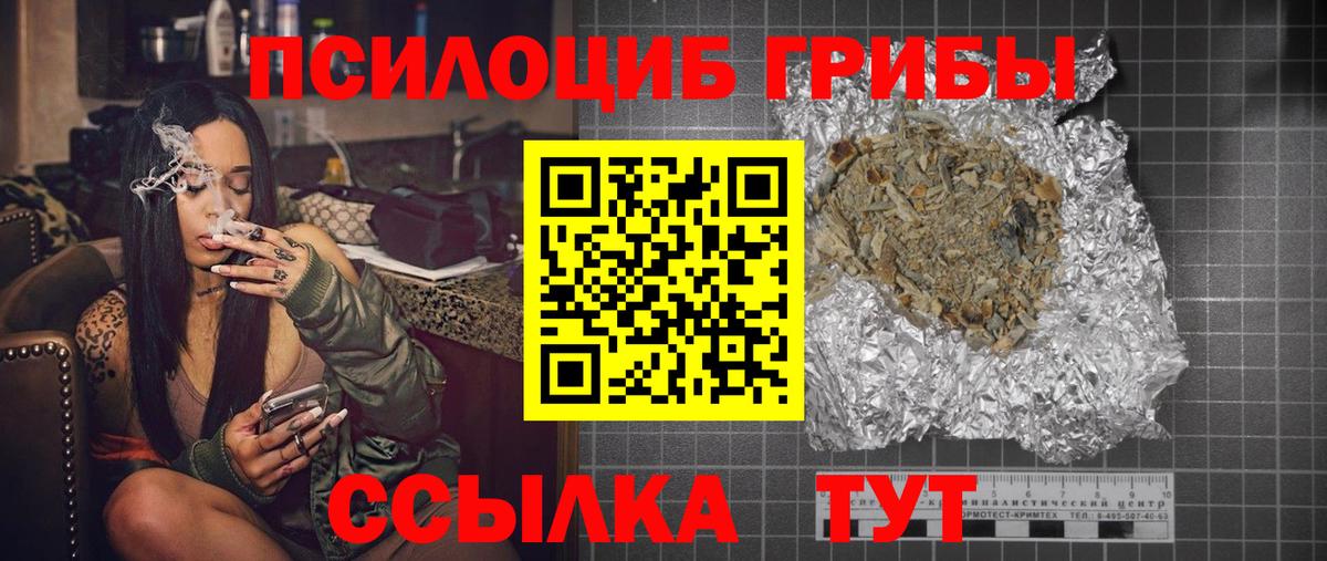 Псилоцибиновые грибы Psilocybe  цена наркотик  Галлюциногенные грибы прущие грибы  Ногинск  Вход с VPN 