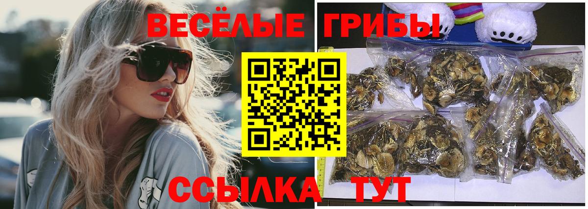 Псилоцибиновые грибы Psilocybe Ногинск